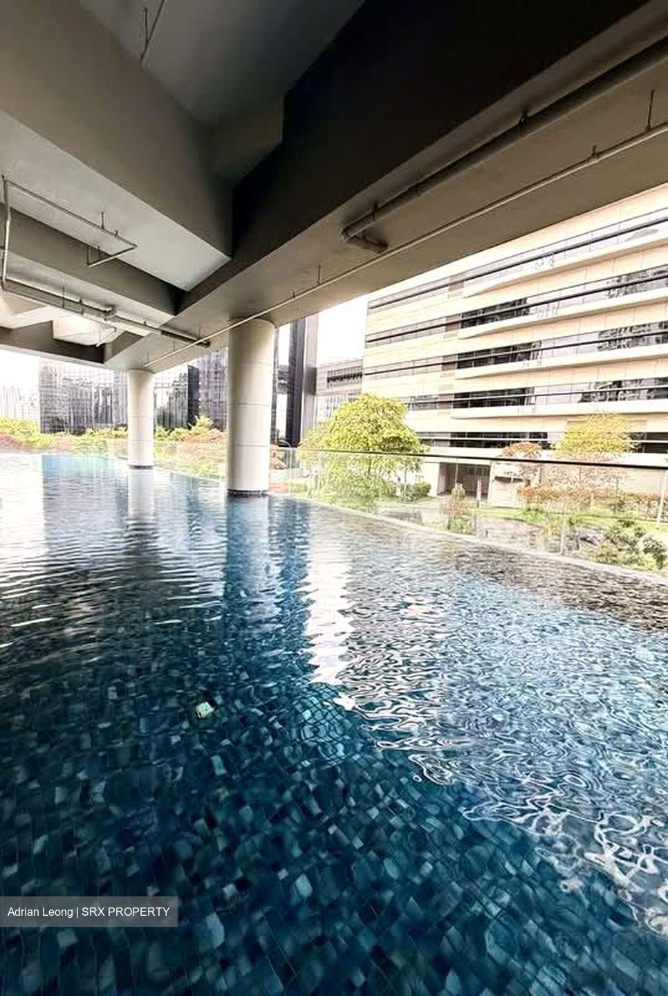 Zedge (D11), Apartment #532480011
